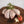 Farmer Max Chicken Drumsticks (frozen) - 600g